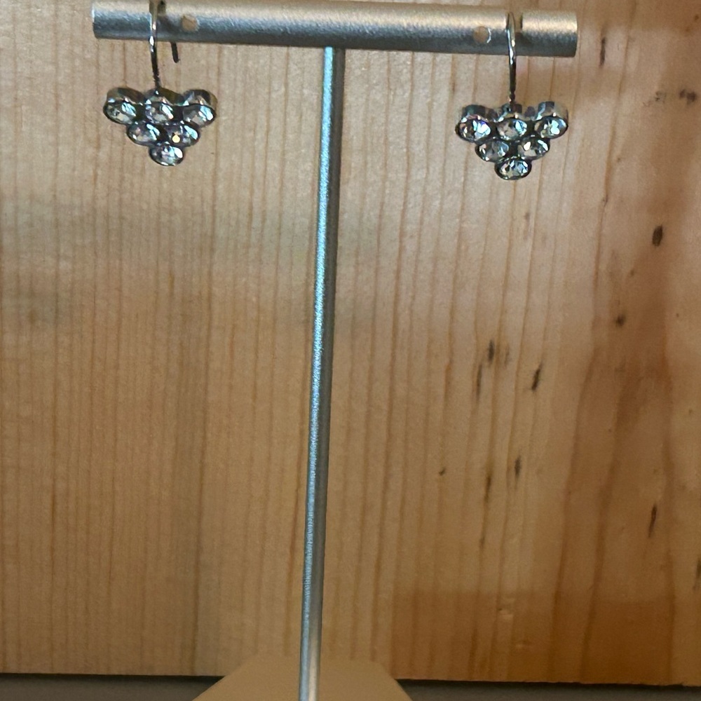 Fossil Crystal Rhinestone Pierced Earrings Silver Tone